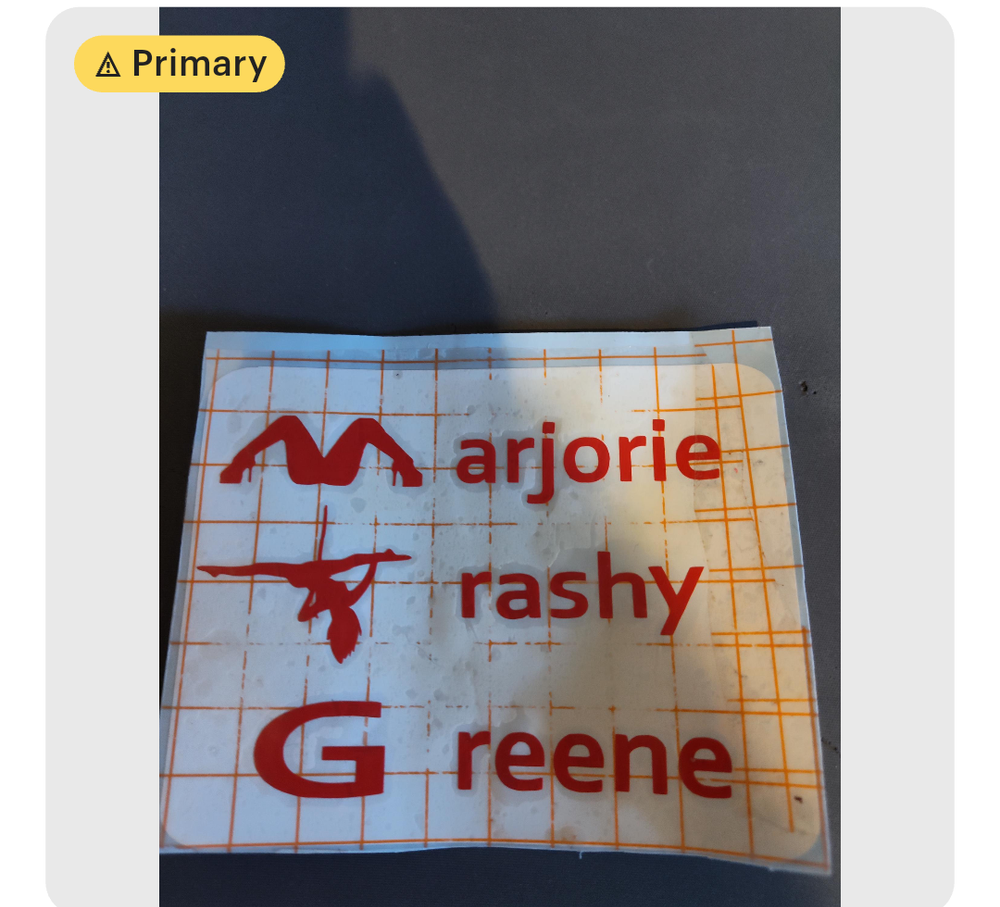 Marjorie Trashy Greene decal