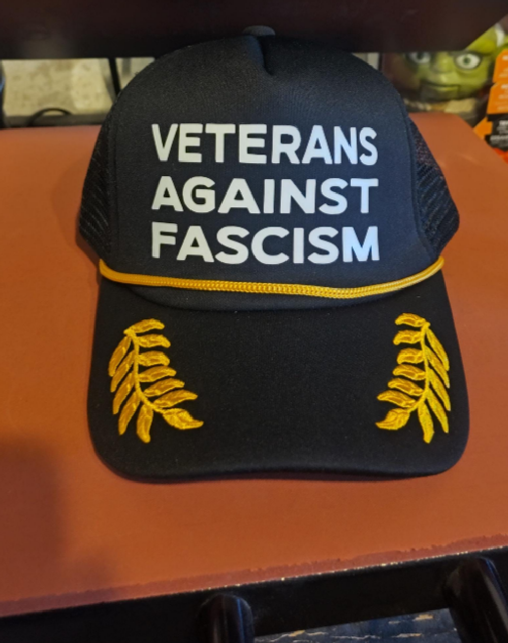 Veterans Against Fascism hat 