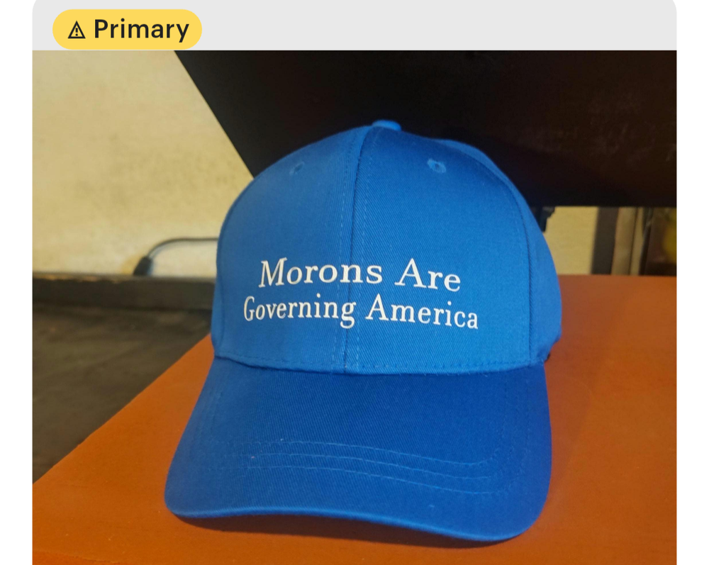 Morons Are Governing America blue hat