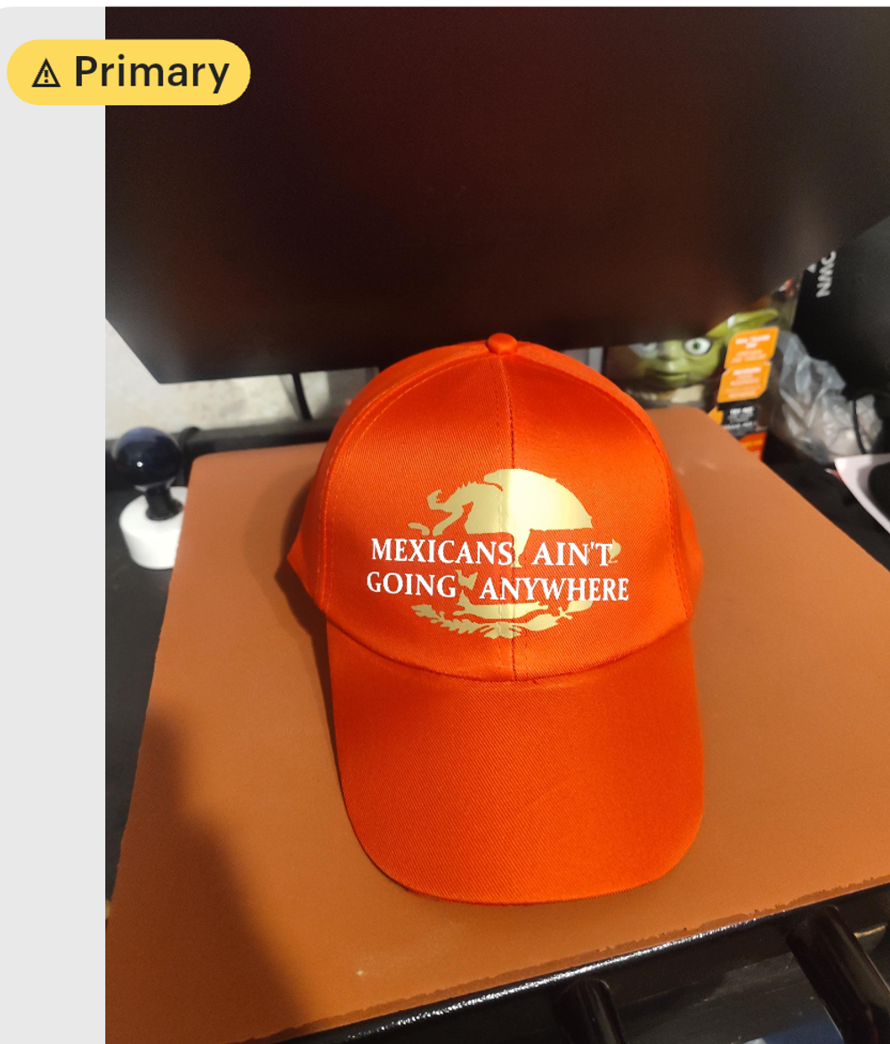 Mexicans Aint Going Anywhere hat